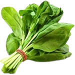 Best vegetables for health