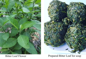 Prepared bitter leaf