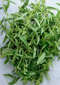 Delightful Guide to Making Ewedu Soup 2 Ewedu