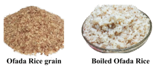 Ofada Rice