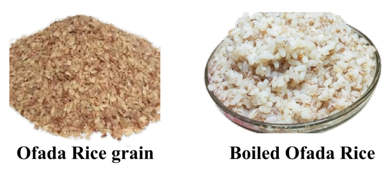 How to Cook Perfect Nigerian Ofada Rice - 9jakitchen-Comfort Through Food