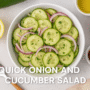 Quick Onion and Cucumber Salad