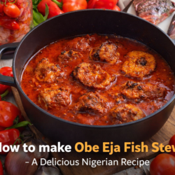 Obe Eja Fish Stew
