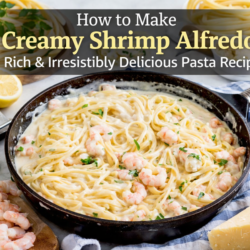 Creamy Shrimp Alfredo