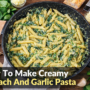 Creamy Spinach And Garlic Pasta