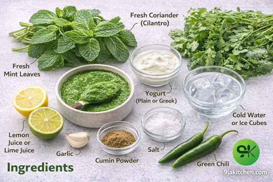 Indian Mint Salsa recipe